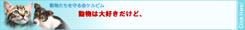 �u��������������P���r���v�����R�[�q�[1�t���̔�p�ŋ~���閽������܂��B�y�b�g�������Ȃ��l�ł����e����ɂȂ��V�X�e�������������������ł��B
